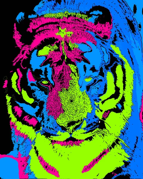 타이거 Tiger Pop Art Background Icon Color Spot — 스톡 사진