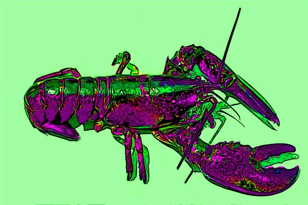 Αστακό Crayfish Σήμα Εικονογράφηση Pop Art Φόντο Εικονίδιο Κηλίδες Χρώματος — Φωτογραφία Αρχείου