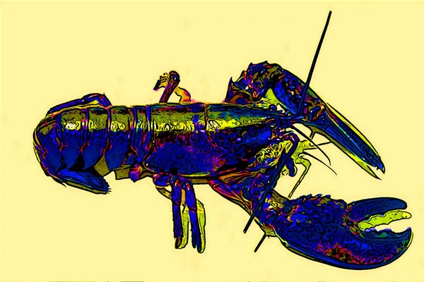 Kreeft Rivierkreeft Teken Illustratie Pop Art Achtergrond Pictogram Met Kleurvlekken — Stockfoto