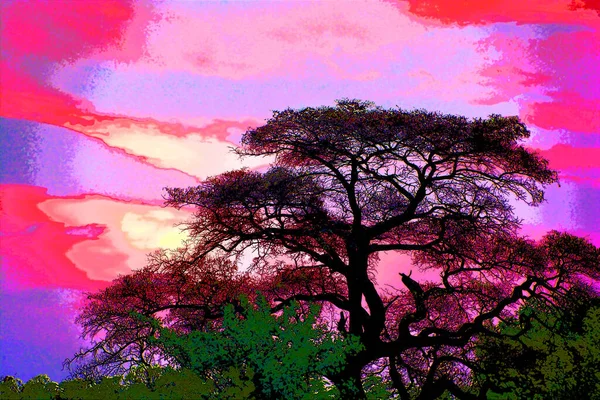 Savana Illüstrasyon Arka Planında Renk Benekleri Olan Ağaçlar — Stok fotoğraf