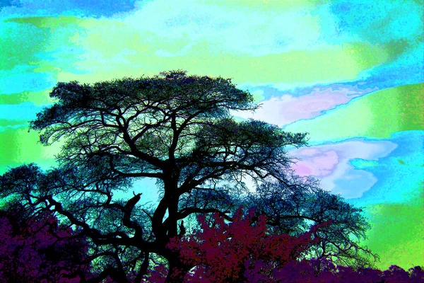 Trees Savannah Illustration Background Color Spots — Fotografia de Stock