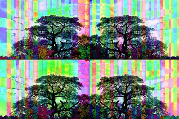 Trees Savannah Illustration Background Color Spots — Φωτογραφία Αρχείου