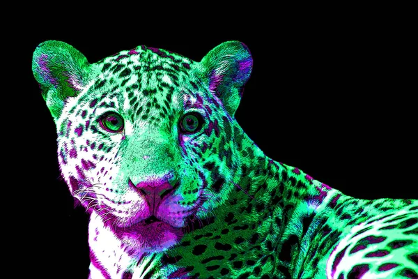 Pop Art Icône Jaguar Avec Des Taches Couleur — Photo