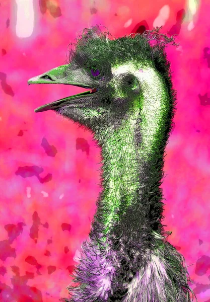 Ostrich Illustration Pop Art Background Color Spots — 图库照片