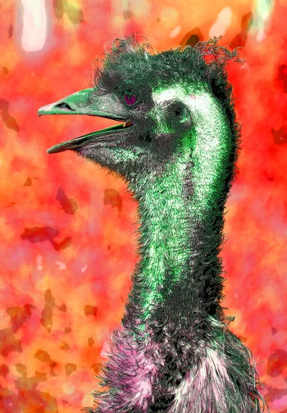 Ostrich Illustration Pop Art Background Color Spots — Photo