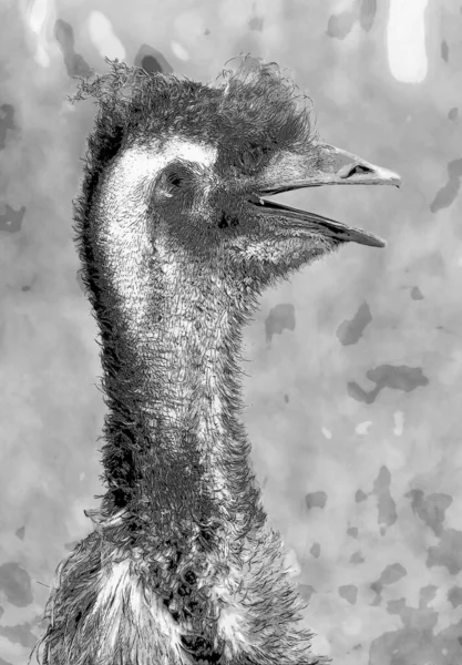 Ostrich Illustration Pop Art Background Color Spots — 스톡 사진