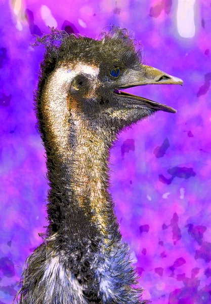 Ostrich Illustration Pop Art Background Color Spots — Stock Fotó