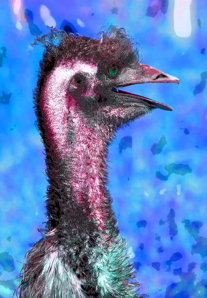 Ostrich Illustration Pop Art Background Color Spots — Photo