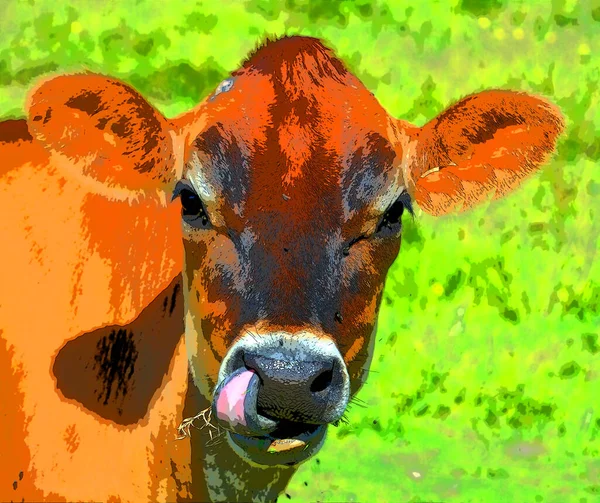 Cow Illustration Pop Art Background — ストック写真