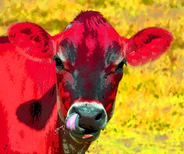 Cow Illustration Pop Art Background — Φωτογραφία Αρχείου