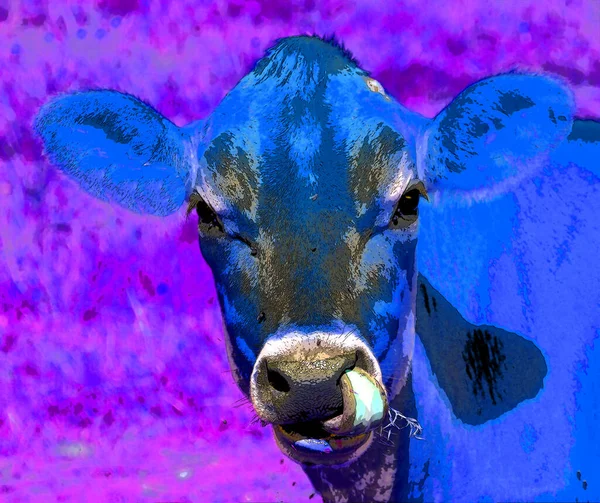 Cow Illustration Pop Art Background — 图库照片