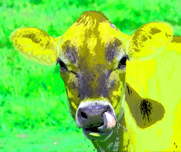 Cow Illustration Pop Art Background — Photo