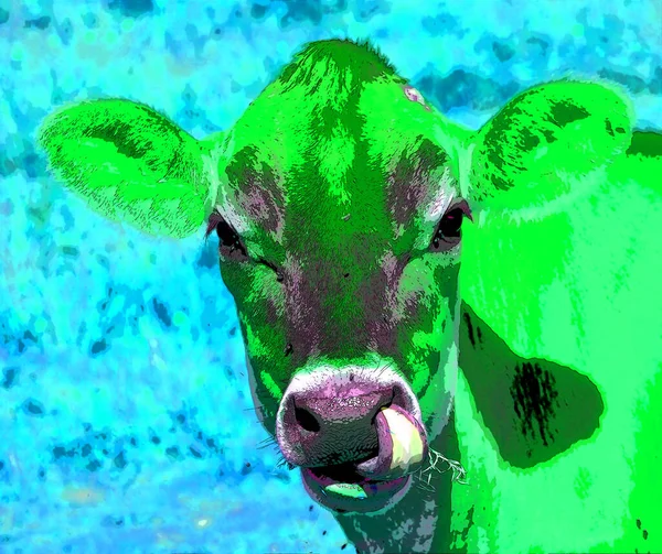Koeienillustratie Pop Art Achtergrond — Stockfoto