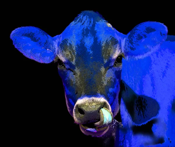 Cow Illustration Pop Art Background — Stock Fotó