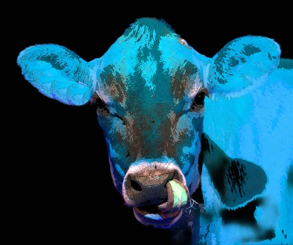 Koeienillustratie Pop Art Achtergrond — Stockfoto
