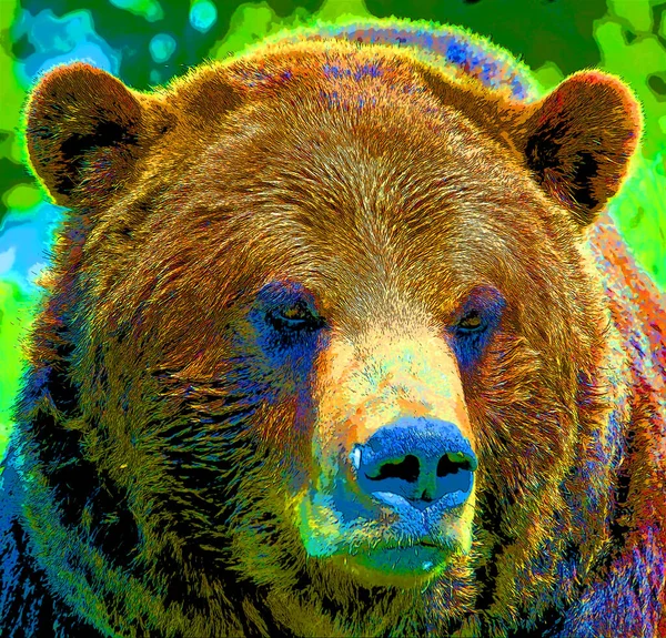 Bear Illustration Pop Art Background Color Spots —  Fotos de Stock