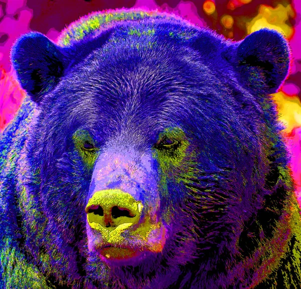 Bear Illustration Pop Art Background Color Spots — Stock fotografie