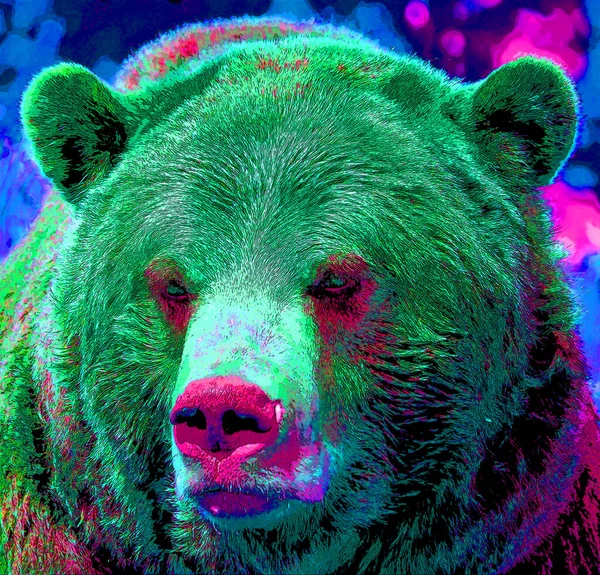 Bear Illustration Pop Art Background Color Spots — Fotografia de Stock