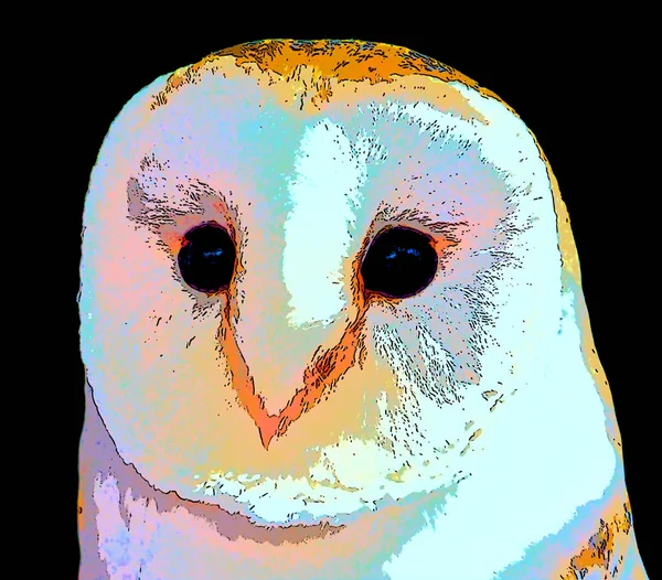Arctic Owl Illustration Pop Art Background Color Spots — Photo