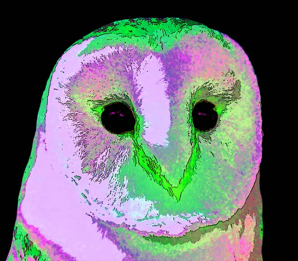 Arctic Owl Illustration Pop Art Background Color Spots — Photo