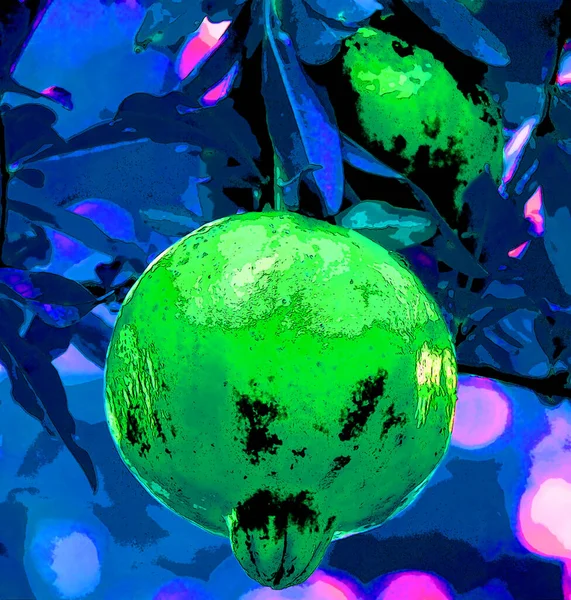 Pomegranate Illustration Pop Art Background — Fotografia de Stock