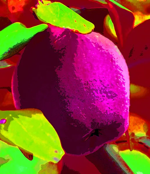 Apple Art Background Colorful Pattern — Fotografia de Stock