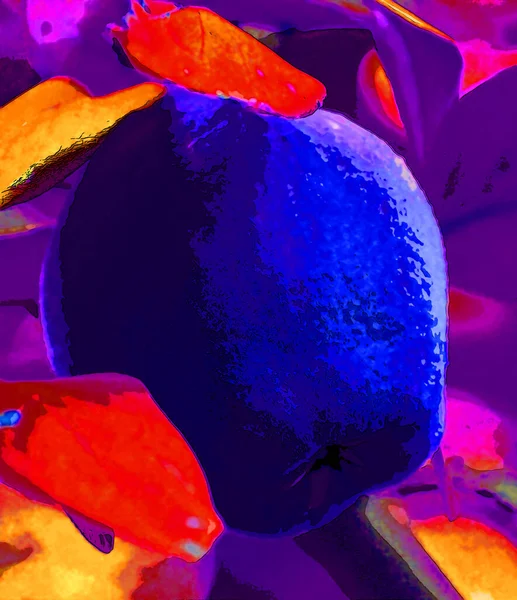 Apple Art Background Colorful Pattern — стоковое фото