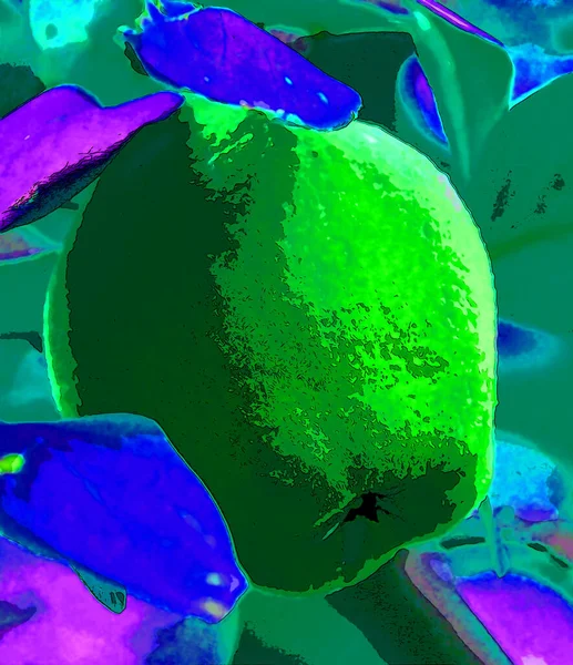 Apple Art Background Colorful Pattern — Fotografia de Stock
