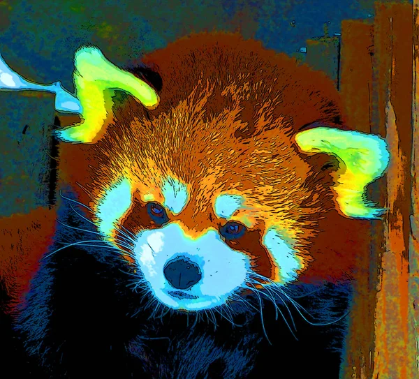 Cute Red Panda Pop Art Icon Color Spots — Stockfoto