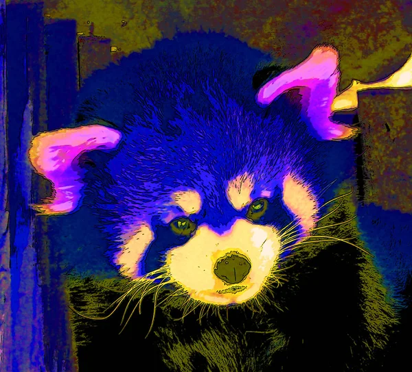 Cute Red Panda Pop Art Icon Color Spots — Fotografia de Stock