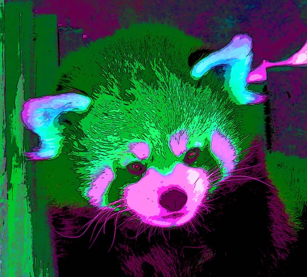 Cute Red Panda Pop Art Icon Color Spots — 图库照片