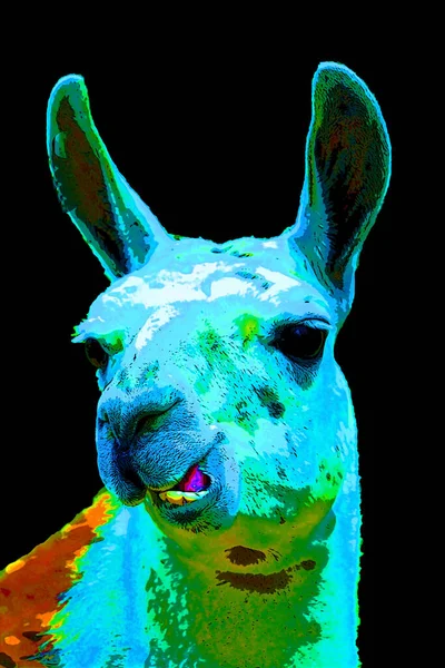 Illustration Llama Pop Art — ストック写真