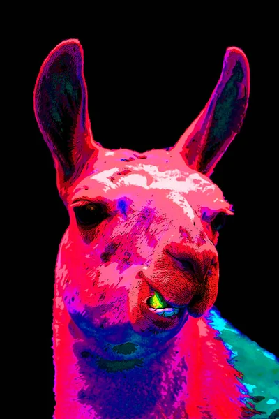 Illustration Llama Pop Art — Stock Fotó