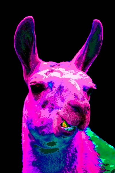 Illustration Llama Pop Art — 图库照片