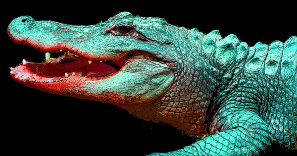Crocodile Illustration Pop Art Background — Stok fotoğraf