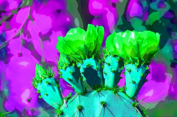 Abstract Background Cactus Flowers — Φωτογραφία Αρχείου