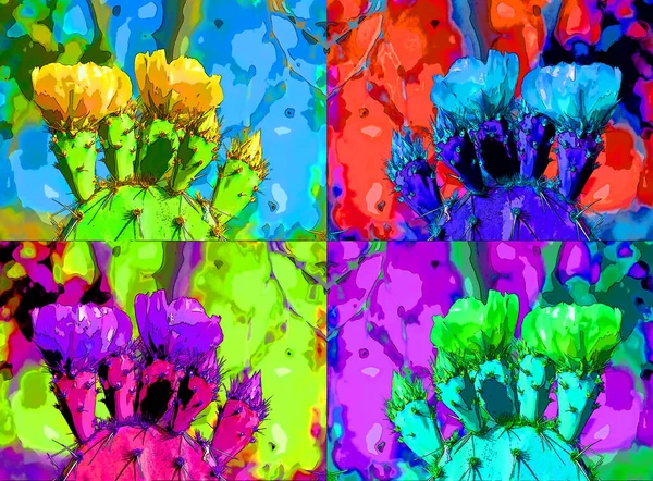 Abstract Background Cactus Flowers —  Fotos de Stock