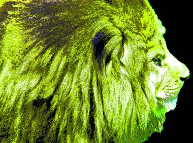Aslan işareti illüstrasyon renk lekeli pop-art arkaplan simgesi