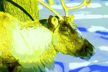 Siyah ve beyaz benekli pop sanat arkaplan simgesi üzerine ren geyiği