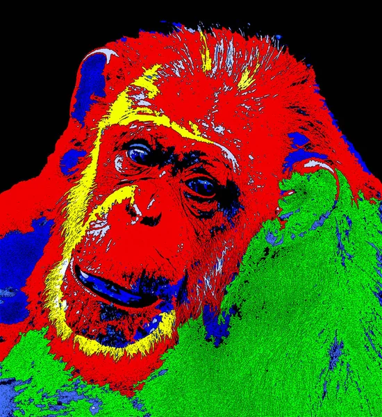 Ape Illustration Pop Art Background Color Spots — Stock Photo, Image