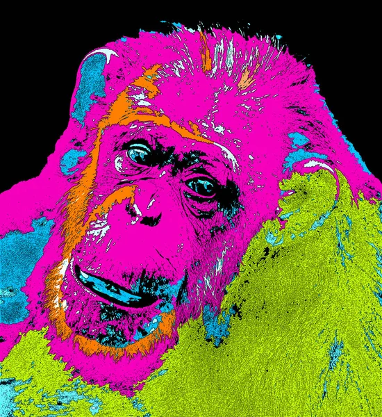 Ape Illustration Pop Art Background Color Spots — стоковое фото