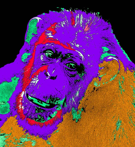 Ape Illustration Pop Art Background Color Spots — 스톡 사진
