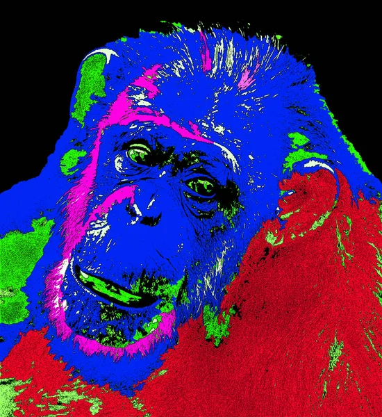 Ілюстрація Мавпи Поп Арт Фон Кольоровими Плямами — стокове фото