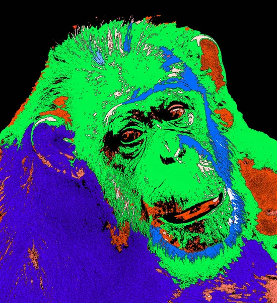 Maymun Çizimi Renk Benekli Pop Art Arkaplan — Stok fotoğraf