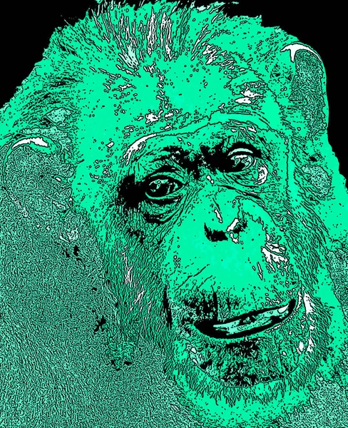 Opice Ilustrace Pop Art Pozadí Barevnými Skvrnami — Stock fotografie