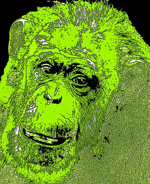Ape Illustration Pop Art Background Color Spots — ストック写真