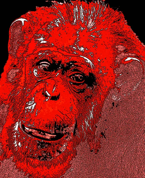 Ape Illustration Pop Art Background Color Spots — Stock Photo, Image