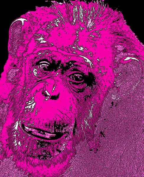 Ape Illustration Pop Art Background Color Spots — ストック写真