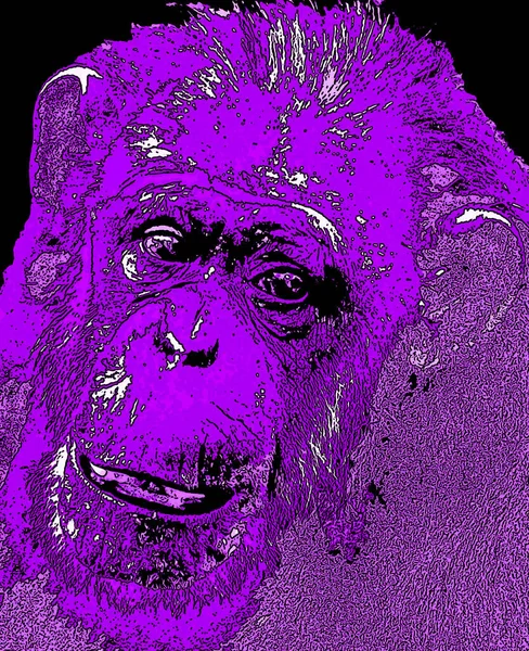 Ape Illustration Pop Art Background Color Spots — 图库照片