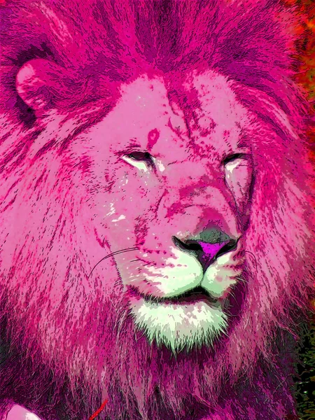 Lion Illustration Pop Art Background Color Spots — Stock fotografie